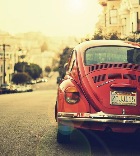 Natural Inspiration for Your Next Creative Project